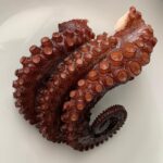 Pulpo Precocido