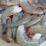 Langostino Jumbo